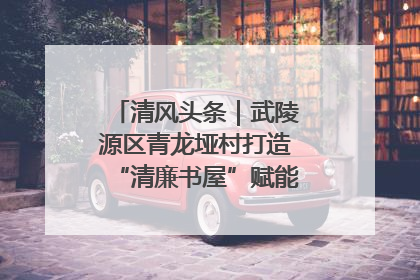 清风头条｜武陵源区青龙垭村打造“清廉书屋”赋能乡村振兴新风尚