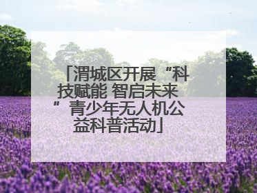 渭城区开展“科技赋能 智启未来”青少年无人机公益科普活动