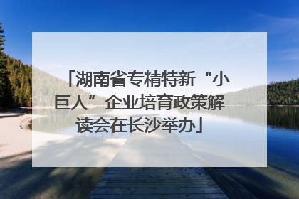 湖南省专精特新“小巨人”企业培育政策解读会在长沙举办