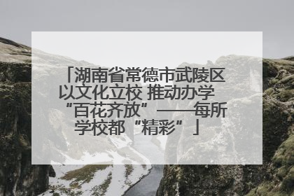 湖南省常德市武陵区以文化立校 推动办学“百花齐放”——每所学校都“精彩”