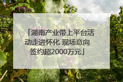 湖南产业带上平台活动走进怀化 现场意向签约超2000万元