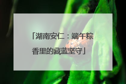 湖南安仁：端午粽香里的藏蓝坚守