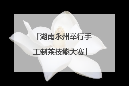 湖南永州举行手工制茶技能大赛