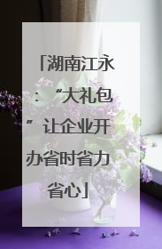 湖南江永：“大礼包”让企业开办省时省力省心