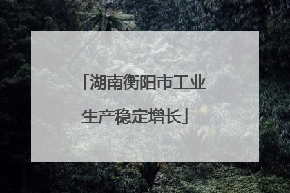 湖南衡阳市工业生产稳定增长
