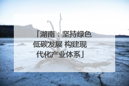 湖南：坚持绿色低碳发展 构建现代化产业体系