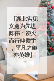 湖北省见义勇为先进陈伟：逆火而行伸援手，平凡之躯亦英雄