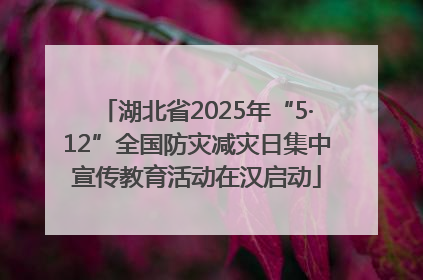 湖北省2025年“5·12”全国防灾减灾日集中宣传教育活动在汉启动
