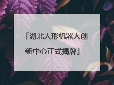 湖北人形机器人创新中心正式揭牌