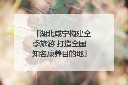 湖北咸宁构建全季旅游 打造全国知名康养目的地