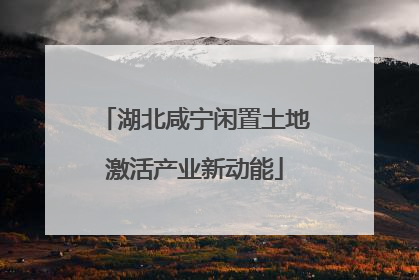 湖北咸宁闲置土地激活产业新动能