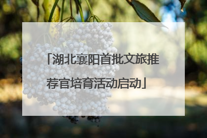 湖北襄阳首批文旅推荐官培育活动启动