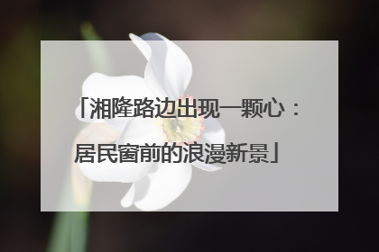 湘隆路边出现一颗心：居民窗前的浪漫新景