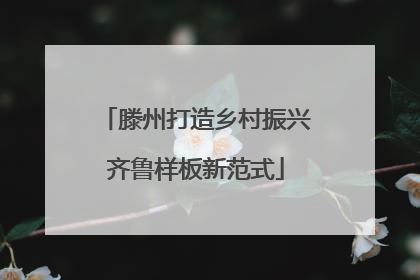 滕州打造乡村振兴齐鲁样板新范式