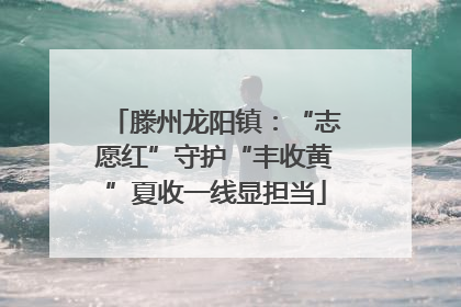 滕州龙阳镇：“志愿红”守护“丰收黄”夏收一线显担当