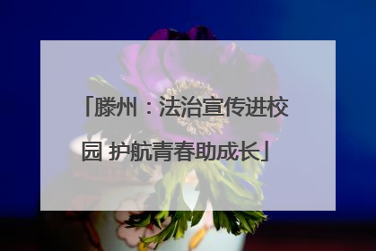 滕州：法治宣传进校园 护航青春助成长