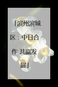 滨州滨城区：中日合作 共赢发展