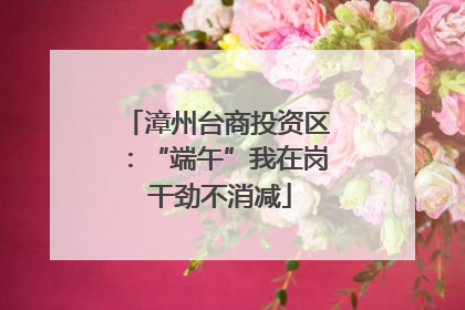 漳州台商投资区：“端午”我在岗 干劲不消减