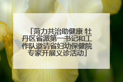 菏力共治助健康 牡丹区省派第一书记和工作队邀请省妇幼保健院专家开展义诊活动