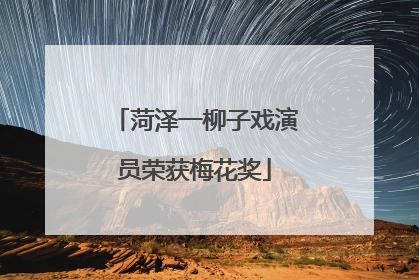菏泽一柳子戏演员荣获梅花奖