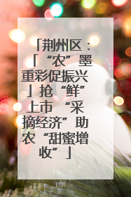 荆州区：「“农”墨重彩促振兴」抢“鲜”上市 “采摘经济”助农“甜蜜增收”