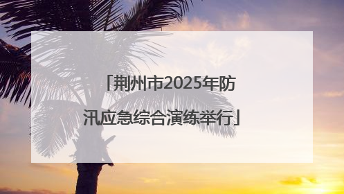 荆州市2025年防汛应急综合演练举行