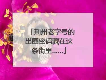荆州老字号的出圈密码藏在这条街里……