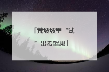 荒坡坡里“试”出希望果