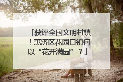 获评全国文明村镇！惠济区花园口镇何以“花开满园”？