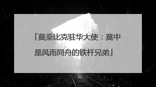 莫桑比克驻华大使：莫中是风雨同舟的铁杆兄弟