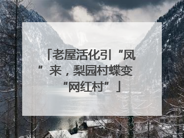 老屋活化引“凤”来，梨园村蝶变“网红村”