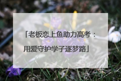 老板恋上鱼助力高考：用爱守护学子逐梦路