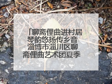 聊斋俚曲进村居 琴韵悠扬传乡音 淄博市淄川区聊斋俚曲艺术团夏季专场演出在杏园子村举行