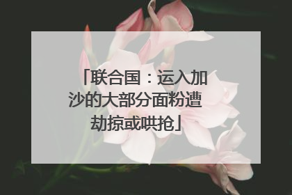 联合国：运入加沙的大部分面粉遭劫掠或哄抢