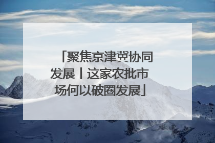 聚焦京津冀协同发展丨这家农批市场何以破圈发展