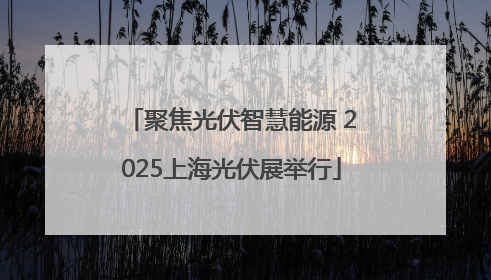聚焦光伏智慧能源 2025上海光伏展举行