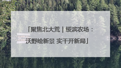 聚焦北大荒｜绥滨农场：沃野绘新景 实干开新局