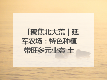 聚焦北大荒｜延军农场：特色种植带旺多元业态 土地焕发新活力