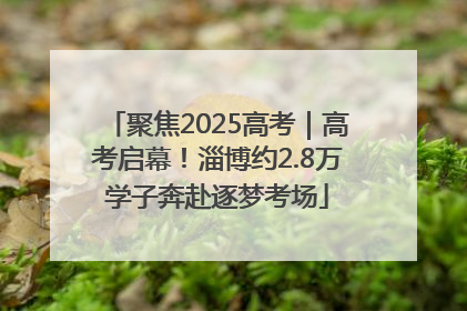 聚焦2025高考｜高考启幕！淄博约2.8万学子奔赴逐梦考场
