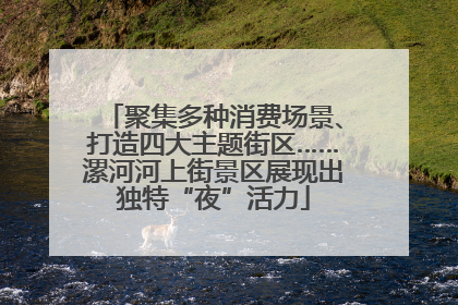聚集多种消费场景、打造四大主题街区……漯河河上街景区展现出独特“夜”活力