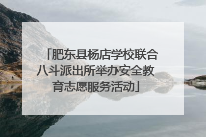 肥东县杨店学校联合八斗派出所举办安全教育志愿服务活动