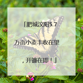 肥城汶阳5.7万亩小麦丰收在望，开镰在即！
