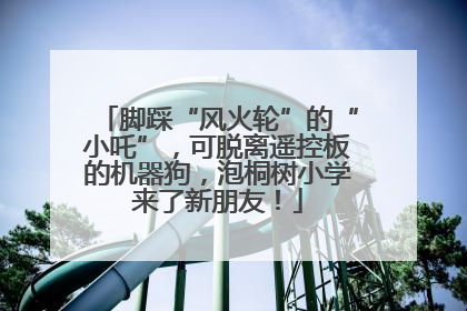 脚踩“风火轮”的“小吒”，可脱离遥控板的机器狗，泡桐树小学来了新朋友！