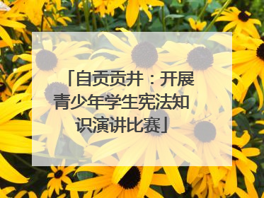 自贡贡井：开展青少年学生宪法知识演讲比赛