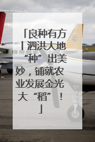 良种有方丨泗洪大地“种”出美妙，铺就农业发展金光大“稻”！