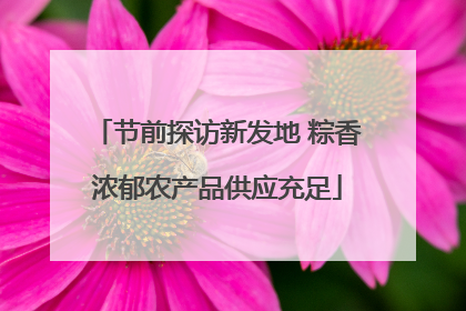 节前探访新发地 粽香浓郁农产品供应充足