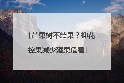 芒果树不结果？抑花控果减少落果危害