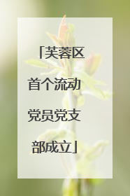 芙蓉区首个流动党员党支部成立