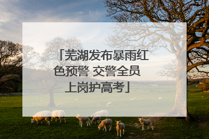 芜湖发布暴雨红色预警 交警全员上岗护高考