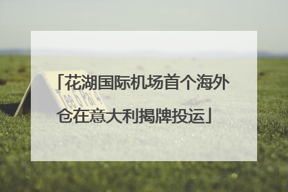 花湖国际机场首个海外仓在意大利揭牌投运